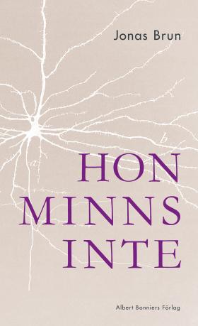 Book cover of Hon Minns Inte