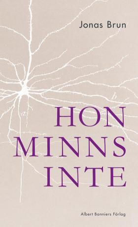 Book cover of Hon minns inte by Jonas Brun