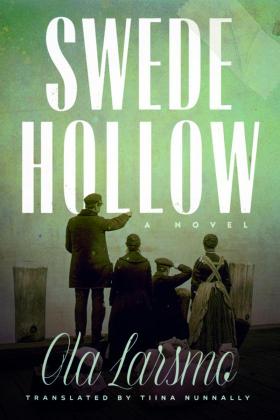 Book cover of Swede Hollow by Ola Larsmo