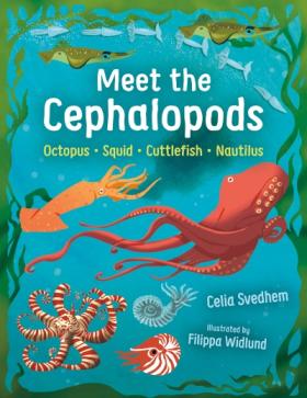 Book cover for Meet the Cephalopods by Celia Svedhem