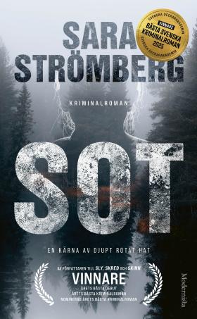 Book cover of Sot by Sara Strömberg