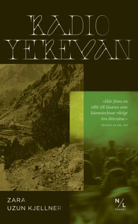 Book cover of Radio Yerevan in green colour