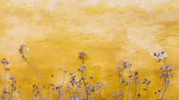 Flowers growing against yellow wall (Issue 2020:1-2)