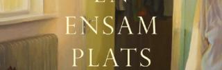 Book cover of En ensam plats