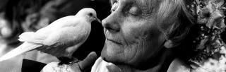 Astrid Lindgren holding a dove