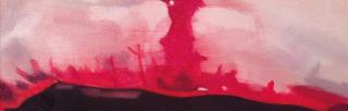 Book cover, Tone Schunnesson